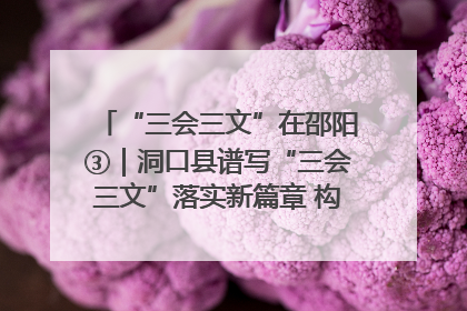 “三会三文”在邵阳③｜洞口县谱写“三会三文”落实新篇章 构建协同联动大格局
